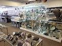 Geofossiles Rock Shop