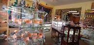 Mountain Metaphysical Shop
